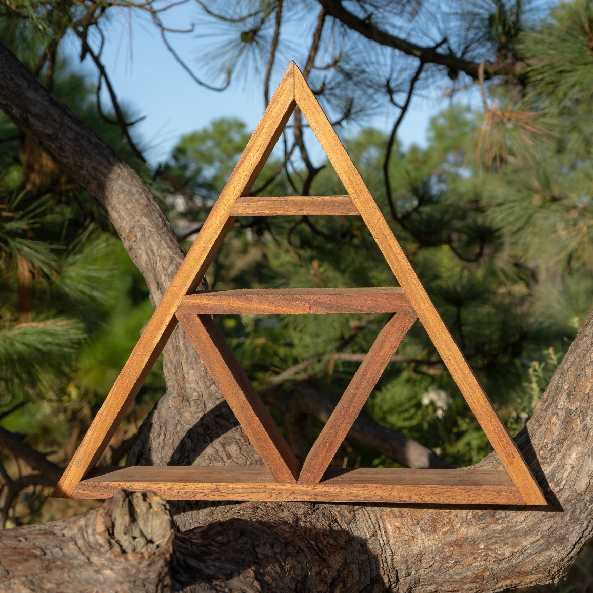 ALTAR ZEN